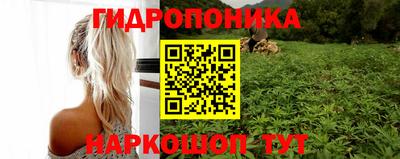 mix Новокубанск