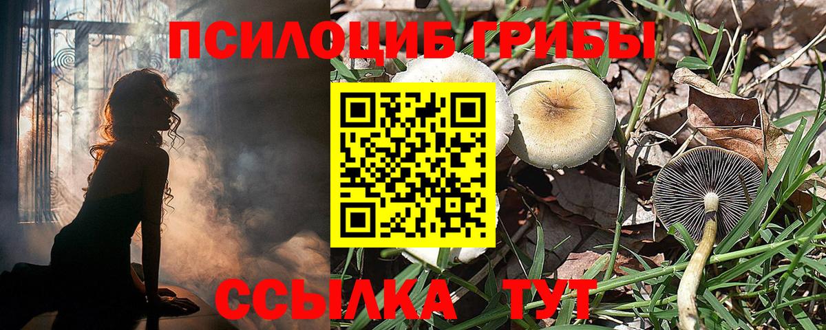 Псилоцибиновые грибы мухоморы  Псилоцибиновые грибы MAGIC MUSHROOMS  Урус-Мартан  Вход с VPN 