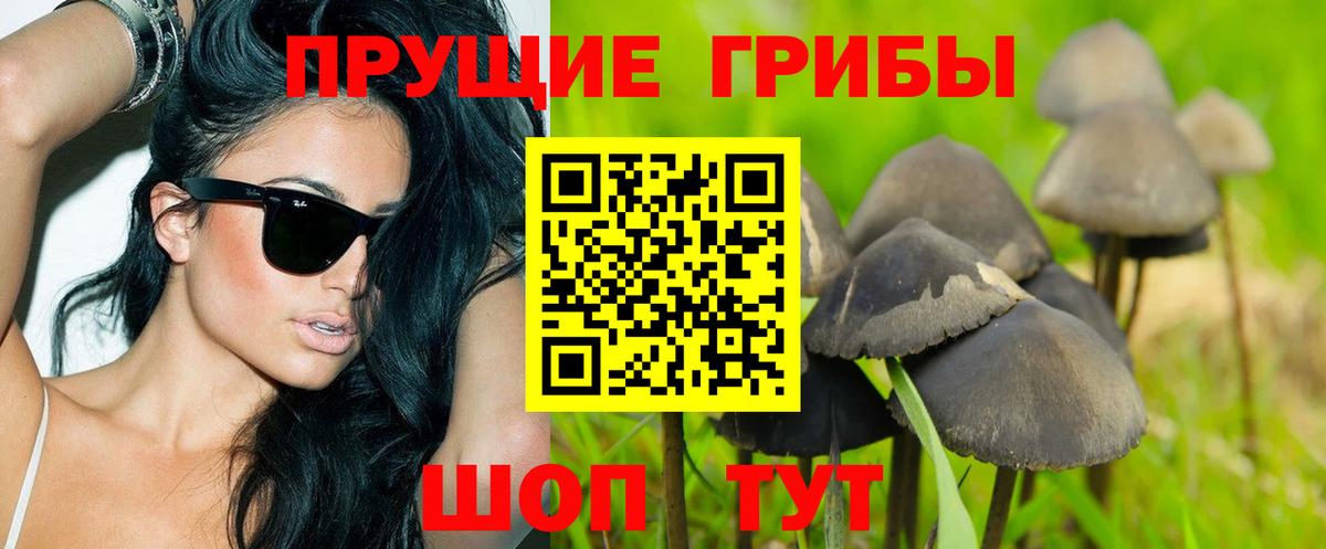 Галлюциногенные грибы ЛСД Урус-Мартан